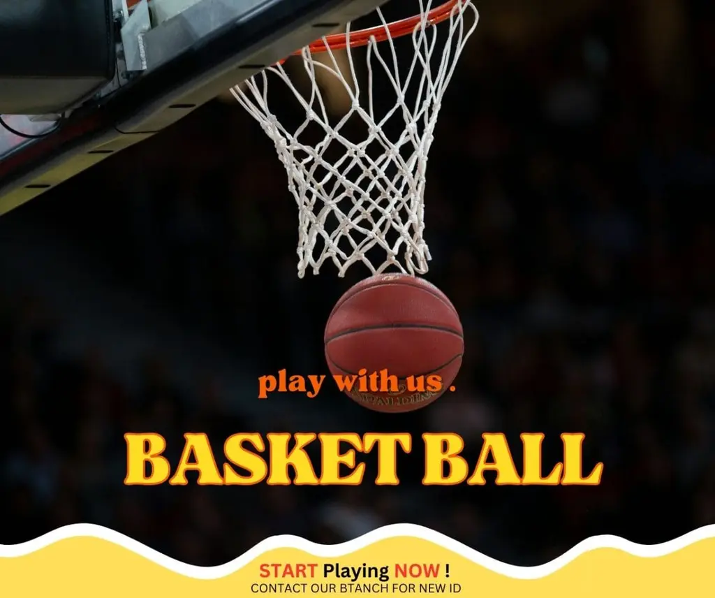Services 6 Get the Best Basketball Betting Experience on Reddy Anna