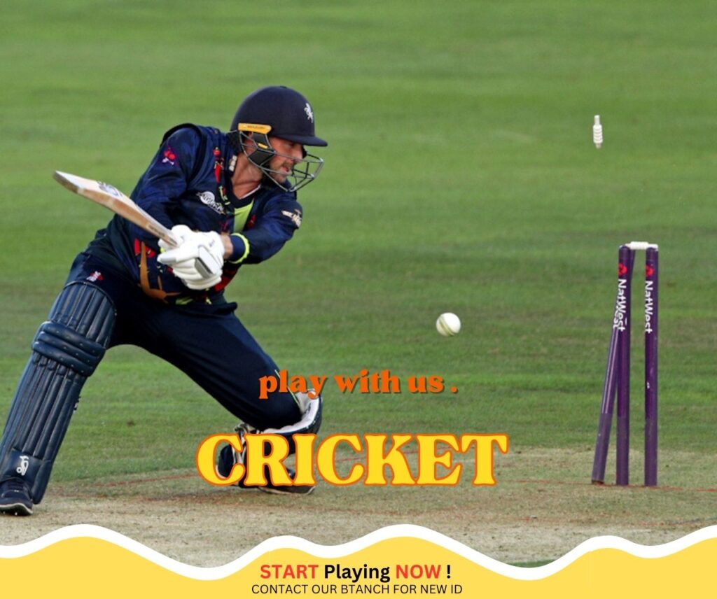 How to Use Reddy Anna's Features for Better Cricket Betting 2 How to bet on cricket with Reddy Anna