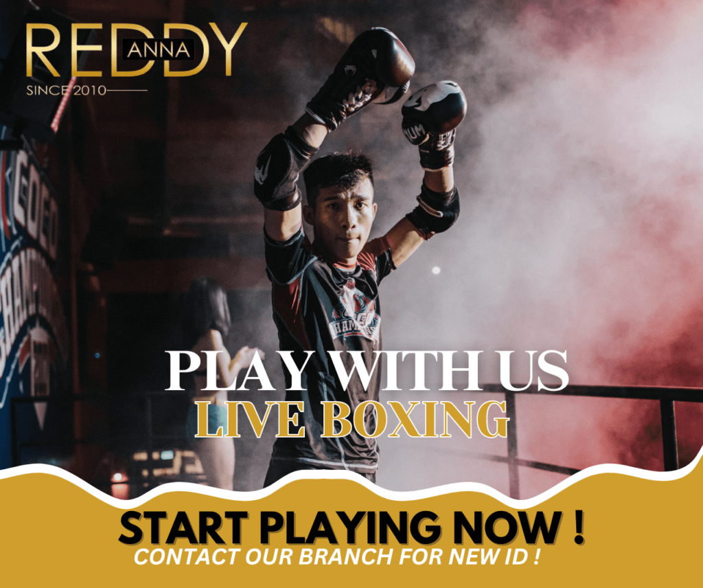 Ultimate Guide to Live Boxing Betting on Reddy Anna From Basics to Advanced Tips 7 Reddy Anna Boxing Betting Guide