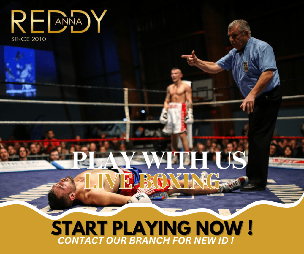Ultimate Guide to Live Boxing Betting on Reddy Anna From Basics to Advanced Tips 6 Reddy Anna Live Boxing Features