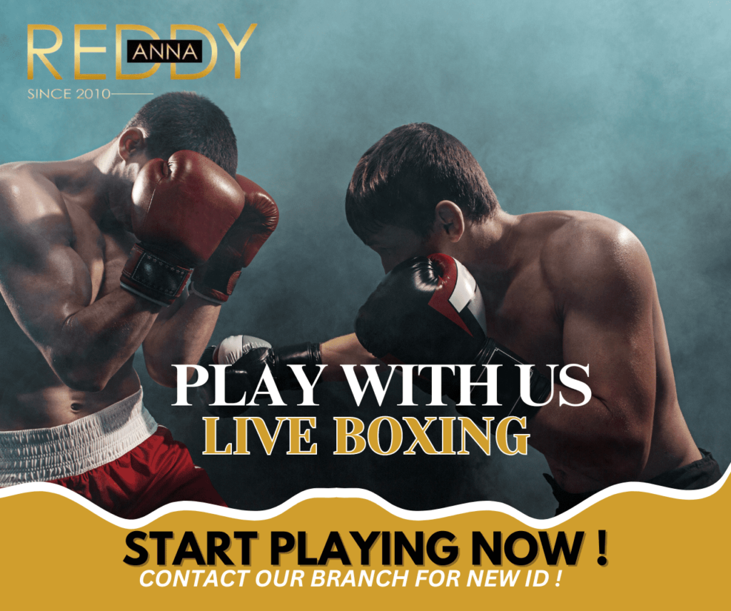 Ultimate Guide to Live Boxing Betting on Reddy Anna From Basics to Advanced Tips